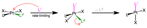 El mecanismo prototípico de sustitución asociativa de ligandos.