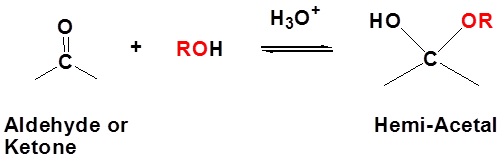 Reaction diagram. An aldehyde or ketone reacts with an alcohol and hydronium to form a hemi-acetal. The reaction goes to equilibrium.