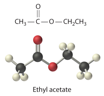 Molecular and ball-and-stick models of ethyl acetate.