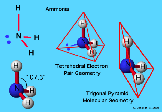 205ammonia.gif