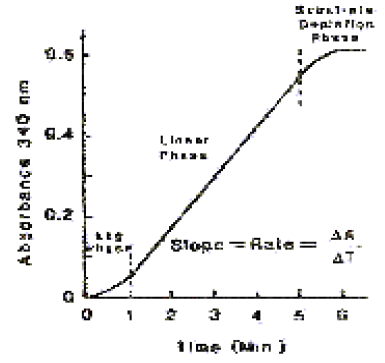 enzyme curve.png