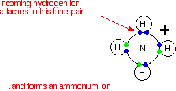 ammonium.gif