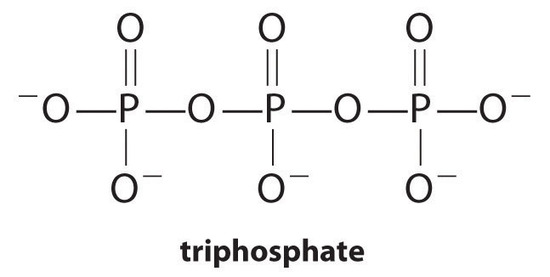 Structure formula drawing of triphosphate. Each oxygen without a double bond carries a minus one charge.