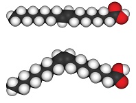 3: Lipid Structure