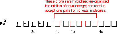 The 4 s, 4 p, and two 4 d orbitals are hybridized and used to accept lone pairs from six water molecules. 