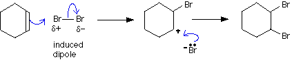 cyclobr2m1.GIF