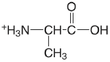 alanine.png