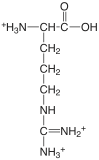 arginine.png