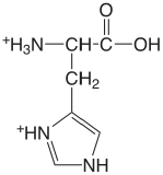 histidine.png