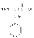 phenylalanine.png