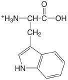 tryptophan.png