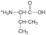 valine.png