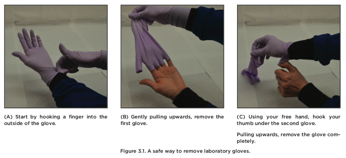 To safely remove gloves, hook a finger into the outside of the glove and gently pull upwards to remove the first glove. Using the now ungloved hand, hook a finger under the second glove and gently pull upward.