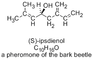 barkbeetle.gif