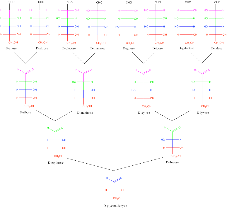 SCcarbtree.png