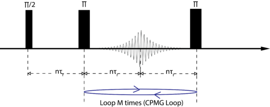 CPMG.png