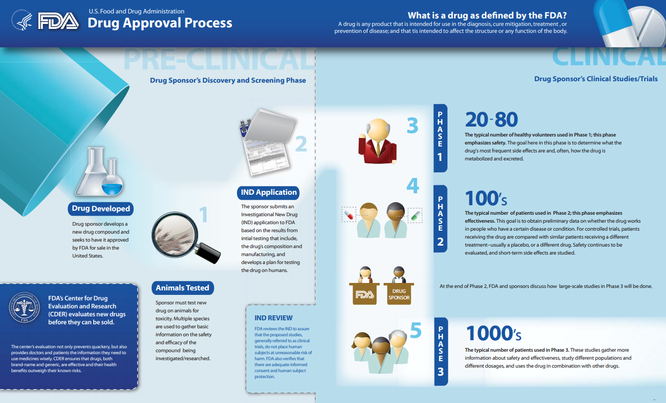 FDA drug approval process steps 1-Phase 3 of IND review