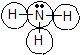 circled ammonia.jpg