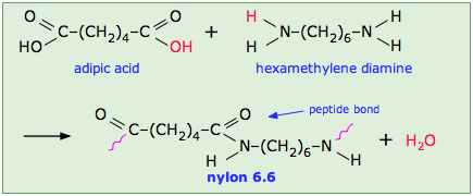 Adipic acid reacts with hexamethylene diamine to form Nylon 6.6 and a H 2 O molecule. The location of the peptide bond in nylon is shown.