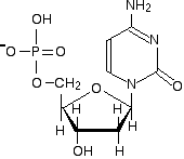 nucleotide2.gif