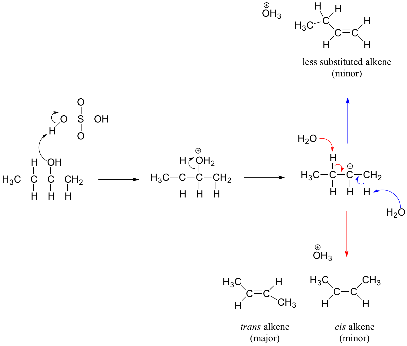 dehydration reaction diagram