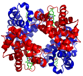 4: Protein Structure