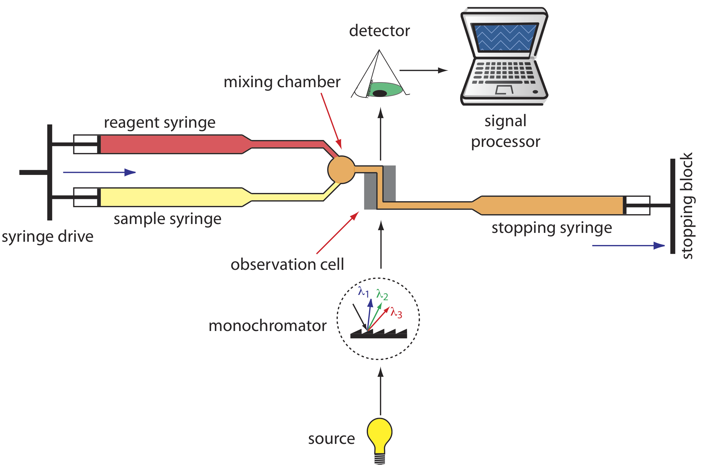 The diagram of the stopped-flow-analyzer begins with the syringe drive which pushes reagent and sample forward out of two syringes into a mixing chamber. From the mixing chamber, the mixed fluid moves into an observation cell where light that has passed through a monochromator moves through the mixed fluid and into a detector. The detector feeds results to a signal processor. The fluid does not move forward from the cell due to a stopping syringe at the end of the flow cycle.