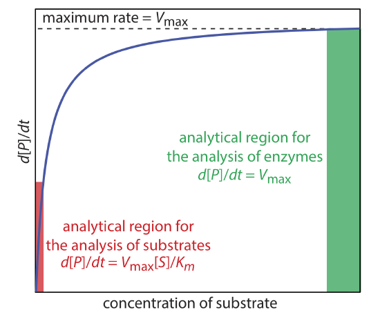The graph of concentration of substrate versus d[p]/dt increases rapidly in the beginning before slowing and approaching V(max). The initial slope of the graph is the analytical region for the analysis of substrates while the end slope of the graph is the analytical region of enzymes.