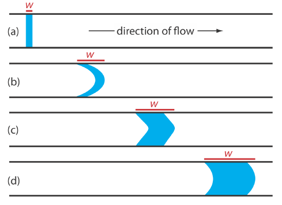 Effect of dispersion on the shape of a sample’s flow profile, shown in blue, at different times during a flow injection analysis: (a) at injection; (b) when convection dominates dispersion; (c) when convection and diffusion contribute to dispersion; and (d) when diffusion dominates dispersion. The red line shows the width, w, of the samples flow profile.