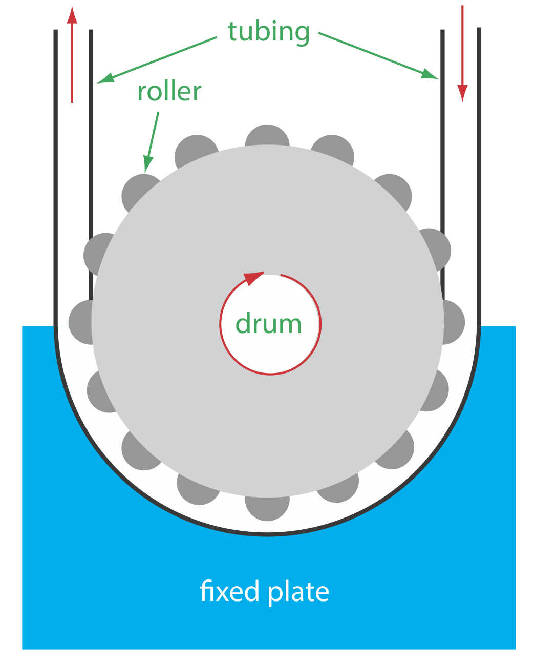 La bomba peristálticaconsiste en una placa fija con un tambor giratorio dentro de ella. El tambor está rodeado por rodillos que ruedan a través de los tubos alrededor de ellos.