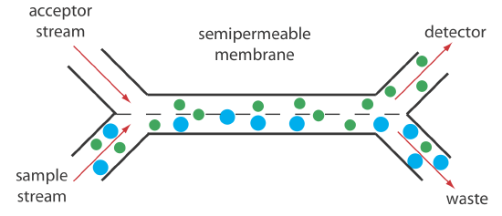 Separation module for a flow injection analysis using a semipermeable membrane. The smaller green solutes can pass through the semipermeable membrane and enter the acceptor stream, but the larger blue solutes cannot. Although the separation is not complete—note that some of the green solute remains in the sample stream and exits as waste—it is reproducible if we do not change the experimental conditions.