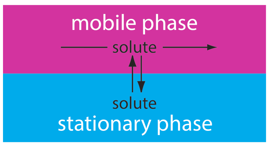 La fase estacionaria del soluto se intercambia con la fase móvil a medida que la fase móvil se mueve sobre el soluto estacionario.