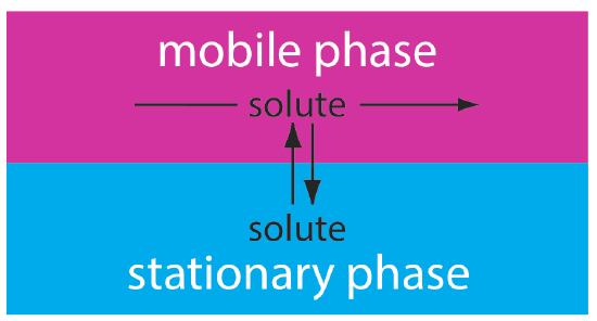 The stationary phase of solute interchanges with the mobile phase as the mobile phase moves over the stationary solute.