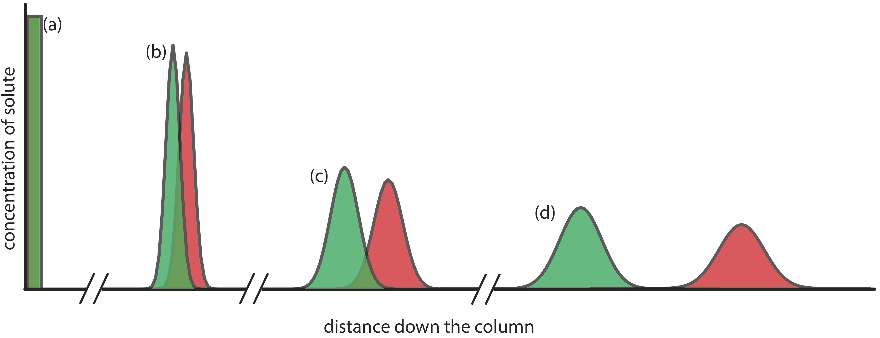 The initial injection of a sample results in the rectangular band of solutes seen in (a). As the sample migrates through the column, the individual components of the sample take on a Gaussian-shaped band profile, as seen in (b-d).