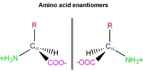 aa_enantiomers.jpg