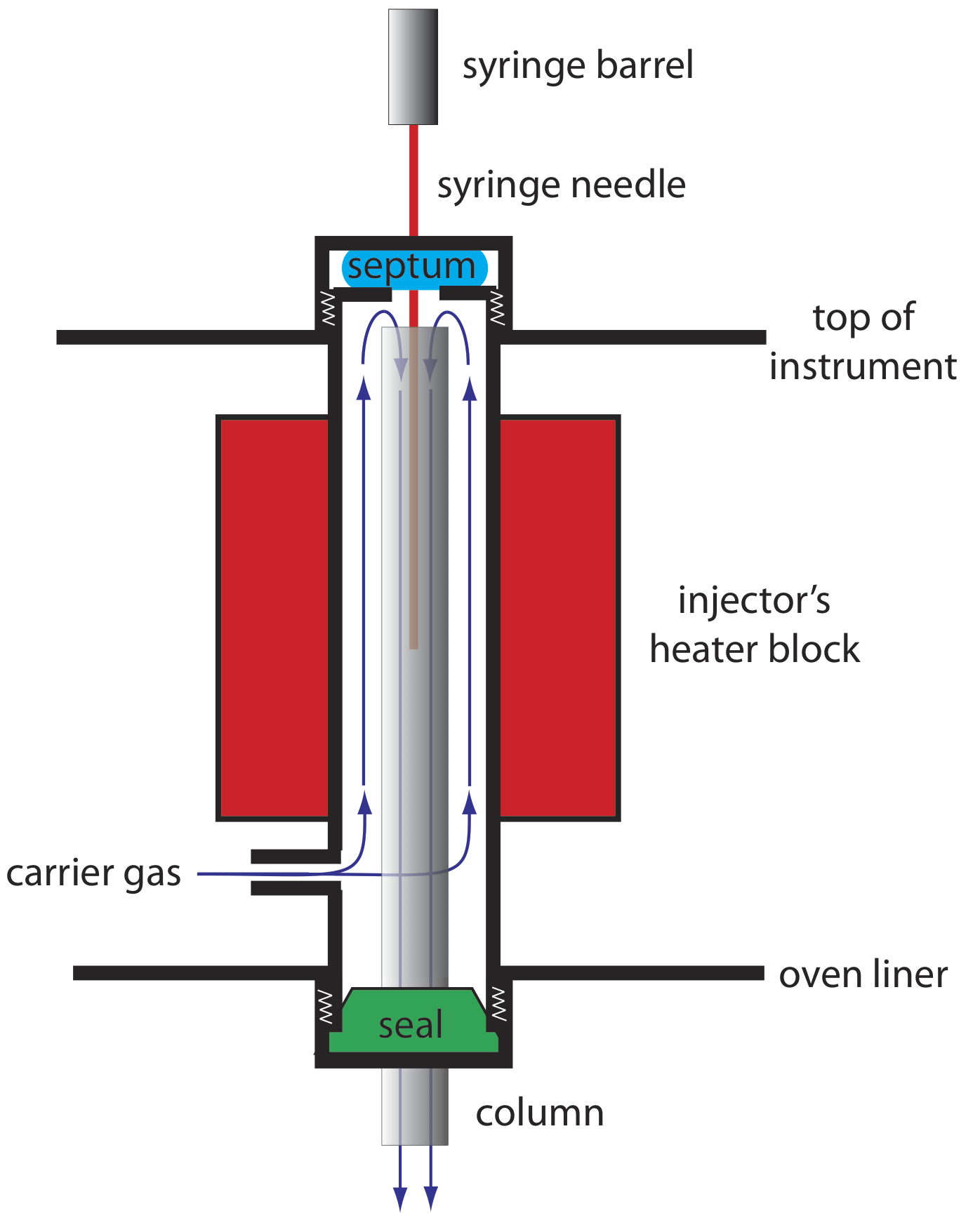 El puerto del inyector GC calentado consta de una columna, sello, revestimiento del horno, gas portador, bloque calentador del inyector, parte superior del instrumento, tabique, aguja de jeringa y barril de jeringa.