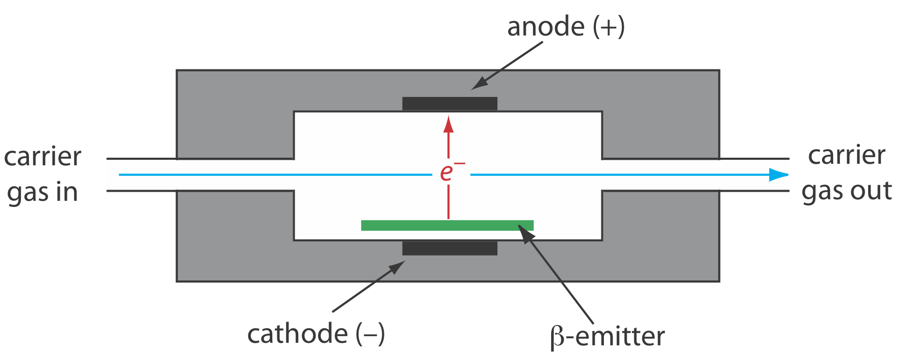 The electron capture detector consists of a one way linear flow of carrier gas in and out, during which it will pass by the anode, cathode, and beta-emitter.