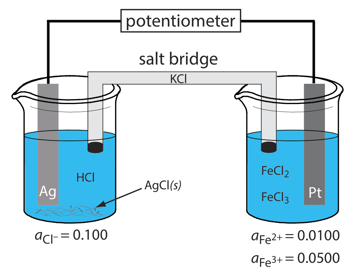 Dos vasos de precipitados están conectados con el potenciómetro y un puente de sal KCl.