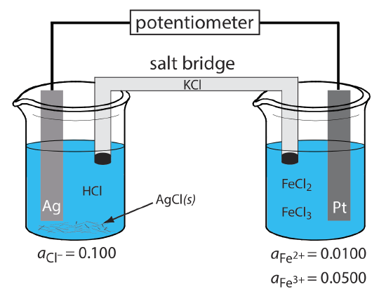 Two beakers are connected with the potentiometer and a KCl salt bridge. 