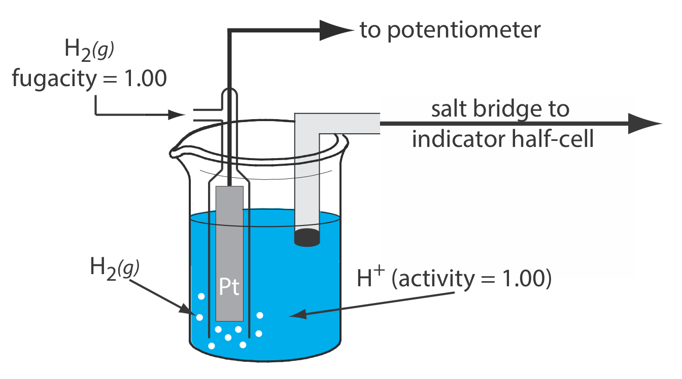 El electrodo de hidrógeno está compuesto por un vaso de precipitados que contiene una varilla de platino y tiene gas hidrógeno bombeado a la solución.