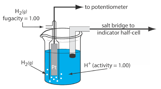 The hydrogen electrode is composed of a beaker that contains a platinum rod and has hydrogen gas pumped into the solution.