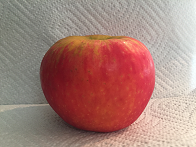 Fig2A_apple_small.png