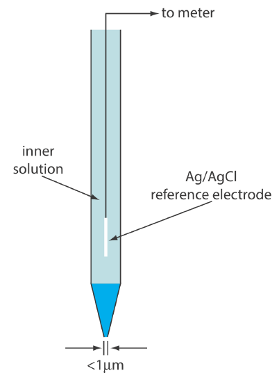 The liquid-based ion-selective microelectrode consists of an inner solution and Ag/AgCl reference electrode with an opening at the bottom with a diameter less than 1 micrometer. 