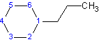 Cyclohexane with a propyl group bound to the first carbon with a single bond.