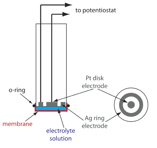 The Clark amperometric sensor consists of a membrane, o-ring, electrolyte solution, platinum disk electrode and silver ring electrode around it. The electrode leads to a potentiostat.