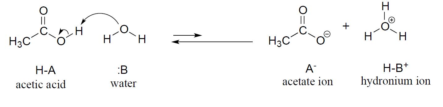 Acetic acid and water reversibly react to form an acetate ion and hydronium ion. The formation of acetic acid and water is favored.