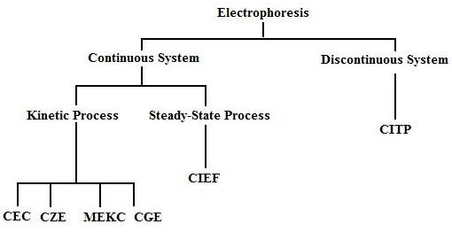 CE flow chart.jpg