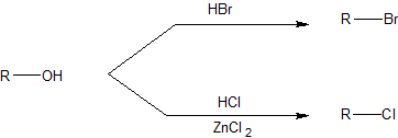 ch 12 secc 1 example.png
