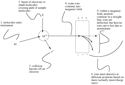 ms schematic.gif