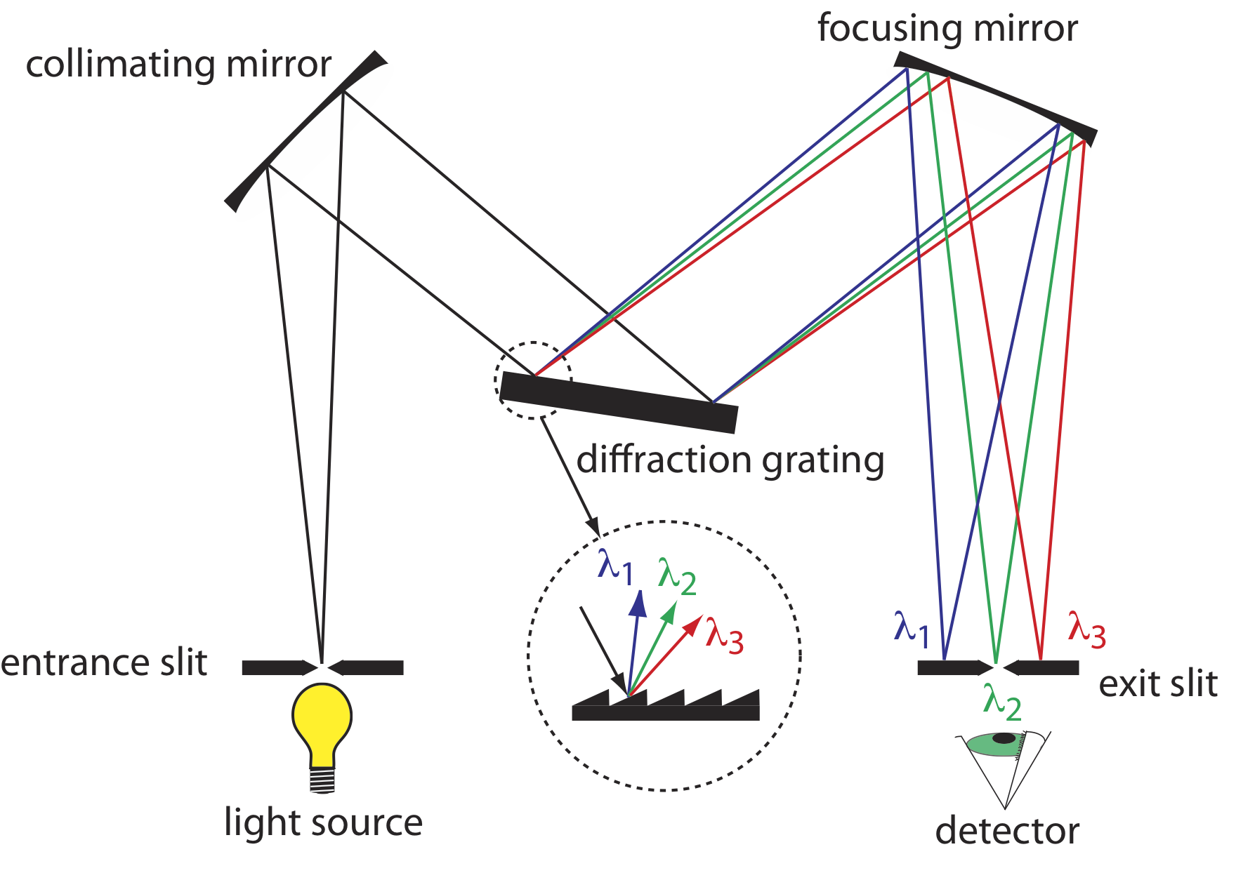 Light emanates from a light source and travels through an entrance slit. It hits a collimating mirror and its redirected toward a diffraction grating. This contact separates the different wavelengths of light which then travels to a focusing mirror. Lastly, the focused wavelengths travel through an exit slit and hit a detector. 